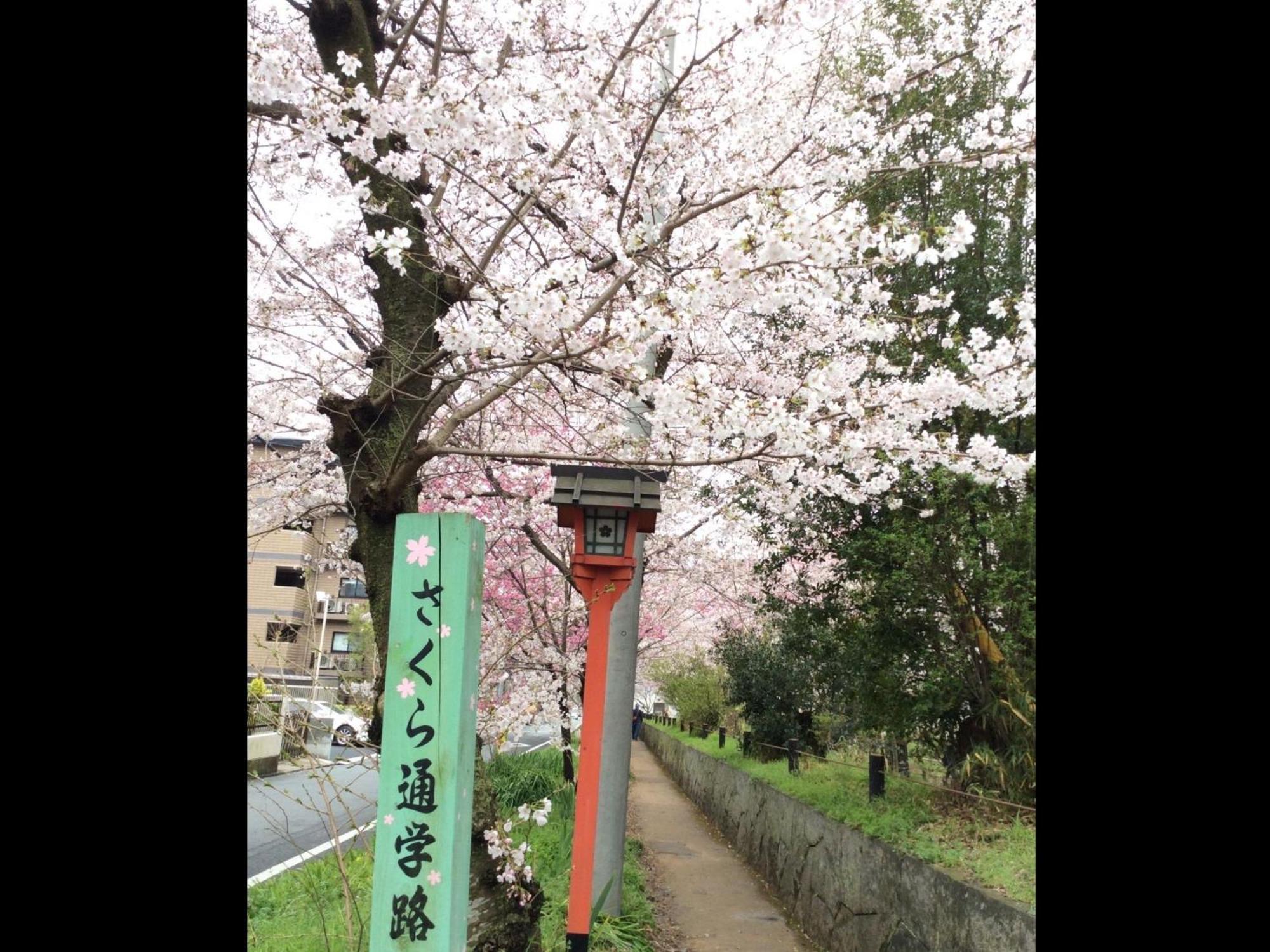 Kyounoyado Hana Nishijin - Kimono No Yado Kioto Exterior foto